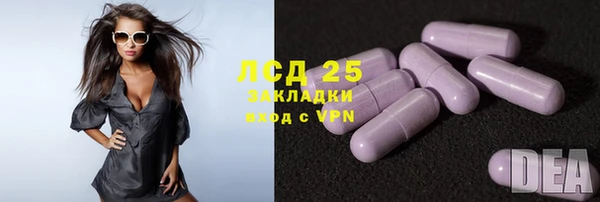 шишки Балабаново