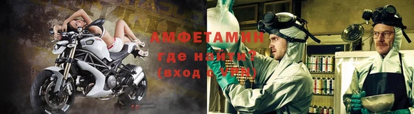 шишки Балабаново
