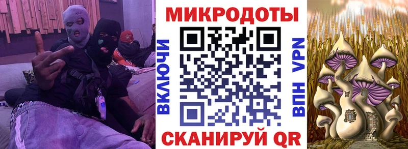 Псилоцибиновые грибы Psilocybe  Валдай 